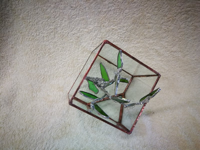 Terrarium cube